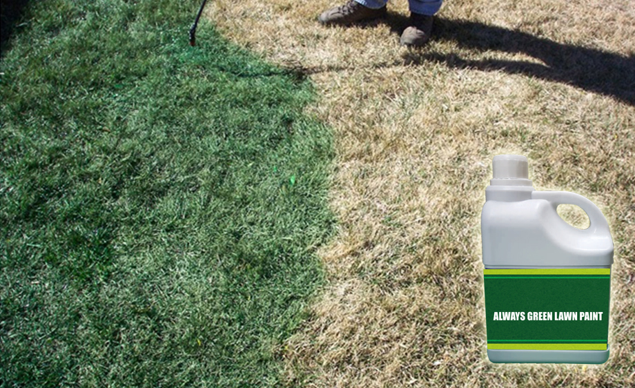 garden lawn colorant